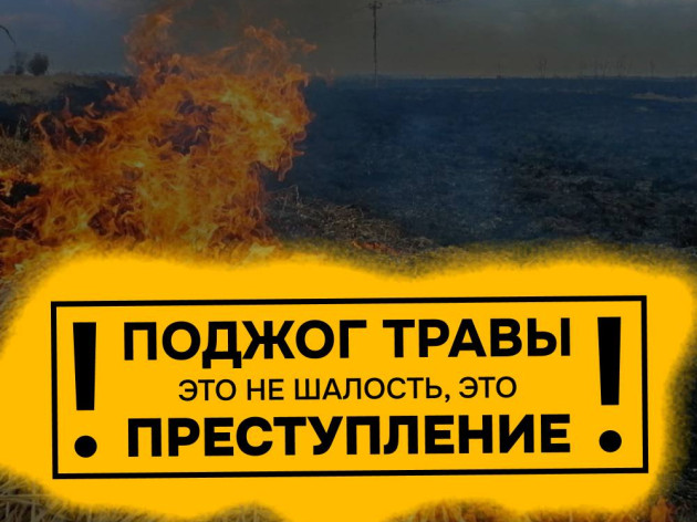Пал травы